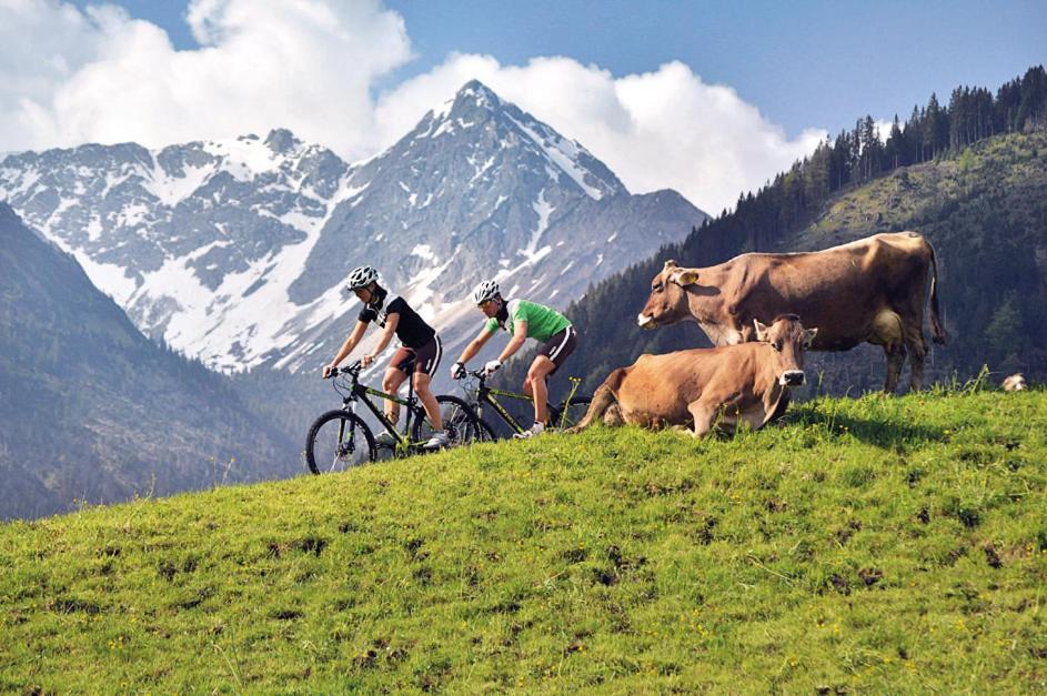 Alpin Lodges - Moderne Appartements Mit Zugang Zu 3000 Qm Spa Panoramahotel Oberjoch Bad Hindelang Exterior foto